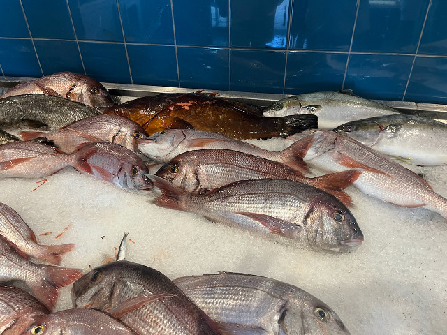 Fruits & Légumes  bio