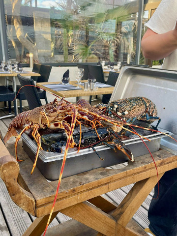 Charcuterie, Fromage & Vin