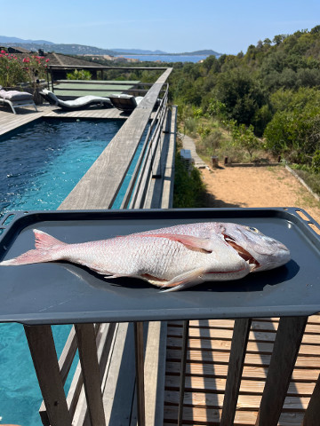 Poissons , Fruits de mer